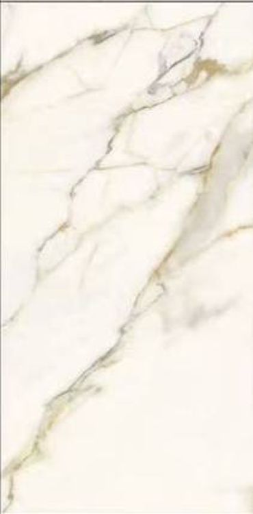 Time Dorado Polished 12 x 24